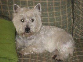 Tristan